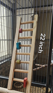 22 inch wooden Ladder