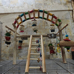 Cage Over Play Gym with Multiple Hanging Toys & Bowls