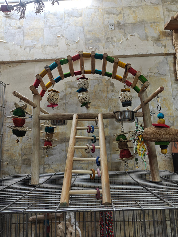 Cage Over Play Gym with Multiple Hanging Toys & Bowls