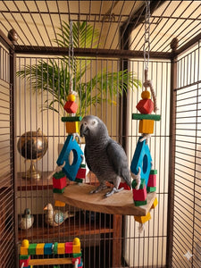 The Paragon Avian Activity Pavillon