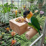 Foraging Station Perch portable Feeder