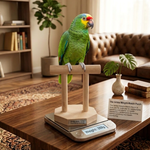 Mini T Stand Dual double Perch