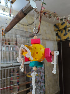 Ball Rope & Blocks Chewing Toy