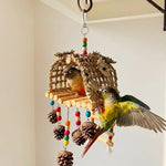 The Nature Nest & Forage Hut