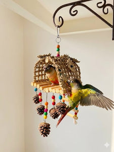 The Nature Nest & Forage Hut
