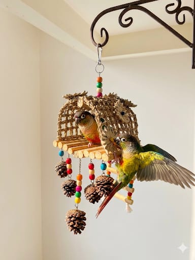 The Nature Nest & Forage Hut