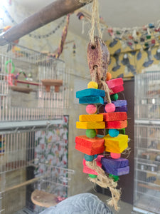 Mahagonay Pod Chewing Toy