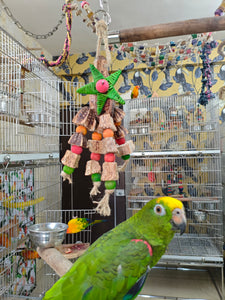 Mahogany Star style Chewing Toy