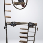 The Horizon Luxury Avian Gym & Playstand