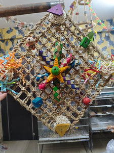 Hay Matt chewing Toy