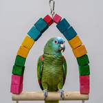 Colorful Wooden Swing