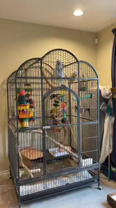 Cage A32