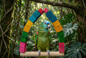 Colorful Wooden Swing