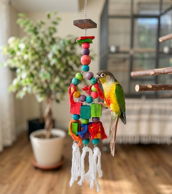 The Rainbow Shred & Chew Tower