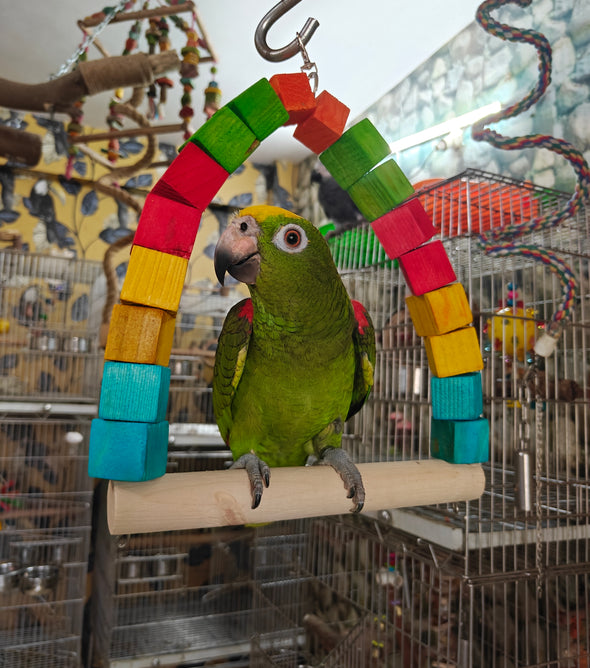 Colorful Wooden Swing