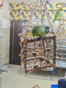 Neem Wood Box Playing Toy