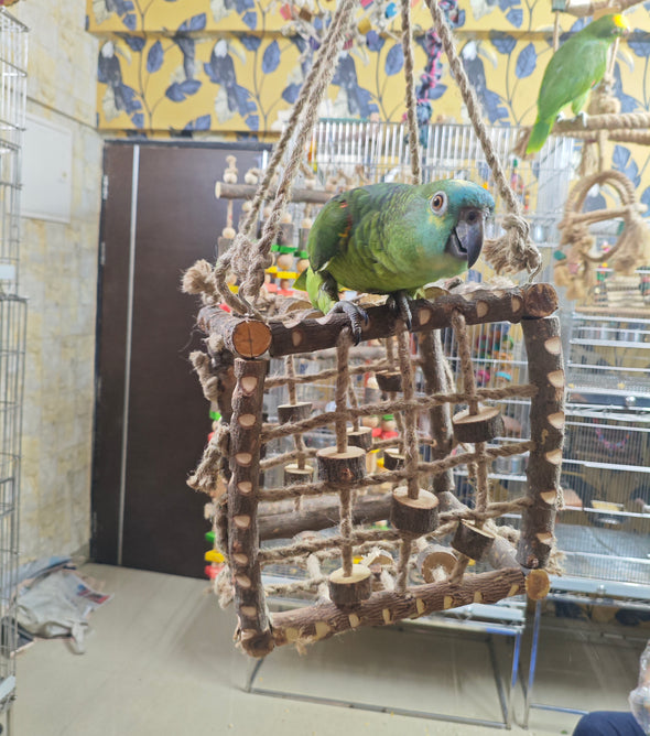 Neem Wood Box Playing Toy