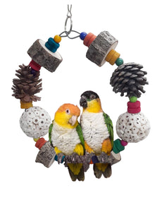 Play & Chew Swing