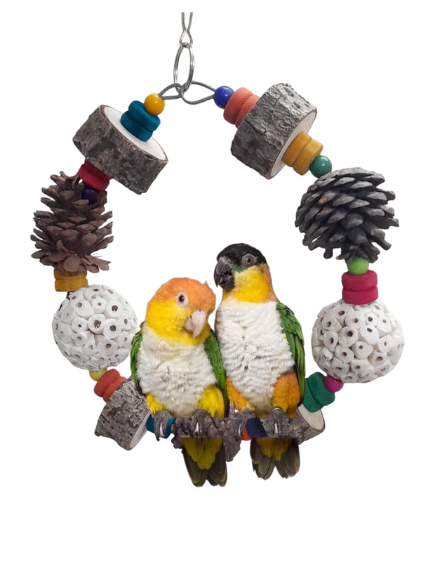 Play & Chew Swing