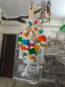 Rope & Dice Chewing Fun