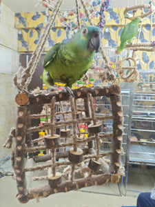 Neem Wood Box Playing Toy