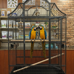 Cage A12101