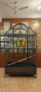 Cage A12101