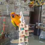 Dise & Disc Cheiwng Toy