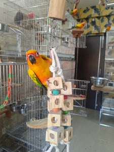 Dise & Disc Cheiwng Toy