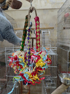 Palm pine Foraging Fun Chewing toy