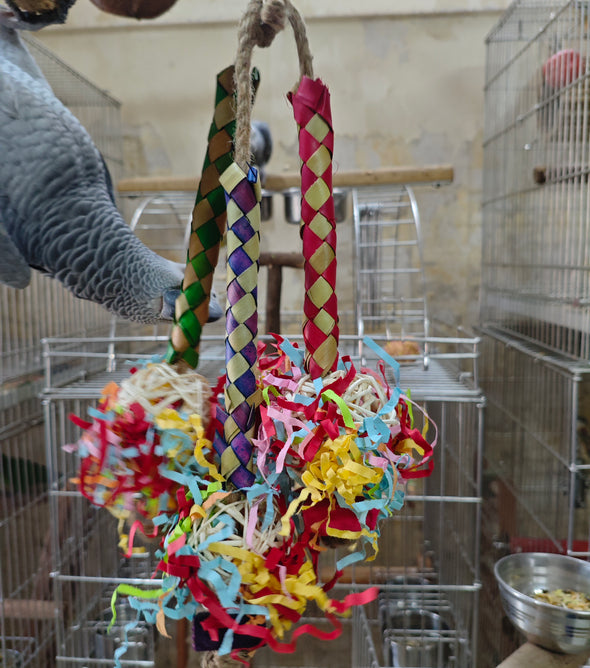 Palm pine Foraging Fun Chewing toy