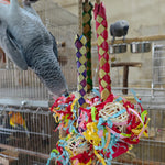 Palm pine Foraging Fun Chewing toy