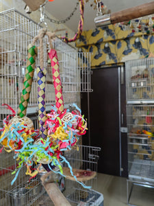 Palm pine Foraging Fun Chewing toy