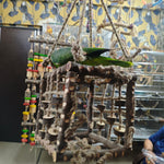 Neem Wood Box Playing Toy