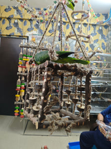 Neem Wood Box Playing Toy