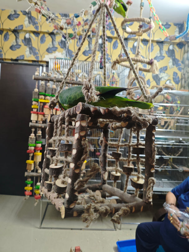 Neem Wood Box Playing Toy