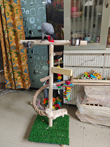The Rainforest Play Areana