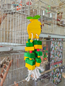 Mango 4 Layer Chewing Fun