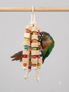 Mini 4 Layer Chewing Toy