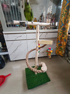 The Rainforest Play Areana