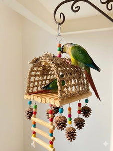 The Nature Nest & Forage Hut