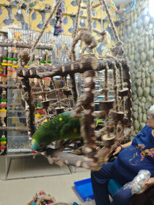 Neem Wood Box Playing Toy