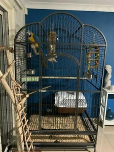Cage A32