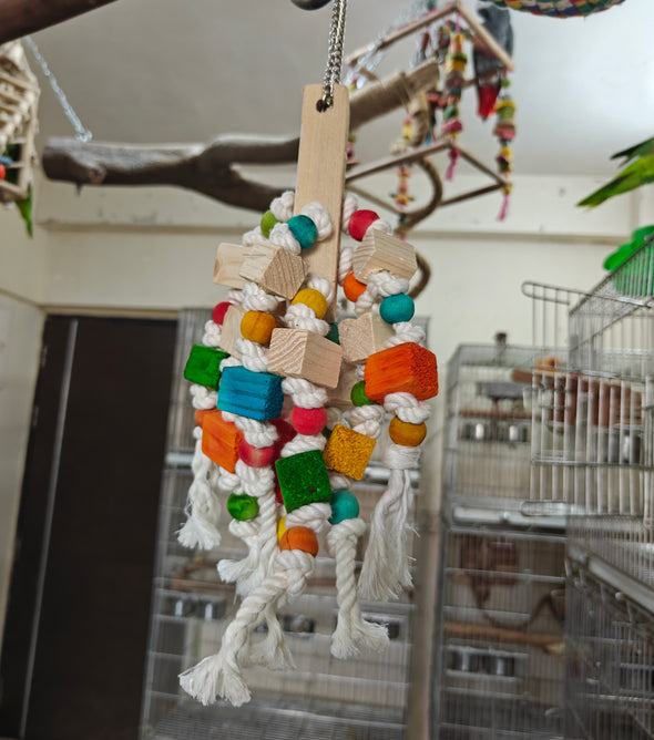 Rope & Dice Chewing Fun