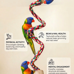 Multicolored Rope