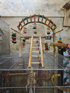Cage Over Play Gym with Multiple Hanging Toys & Bowls