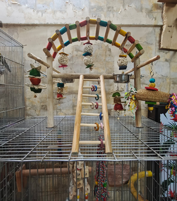 Cage Over Play Gym with Multiple Hanging Toys & Bowls