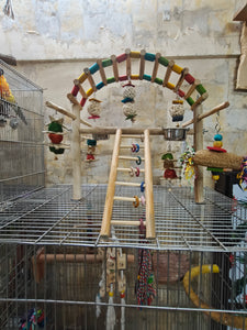 Cage Over Play Gym with Multiple Hanging Toys & Bowls
