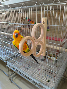 Triple French Window Perch