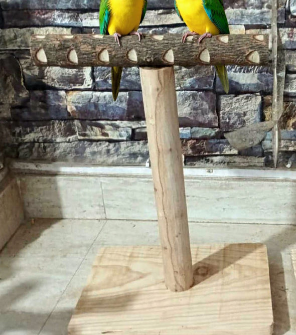 Neem Wood T stand 15 inch